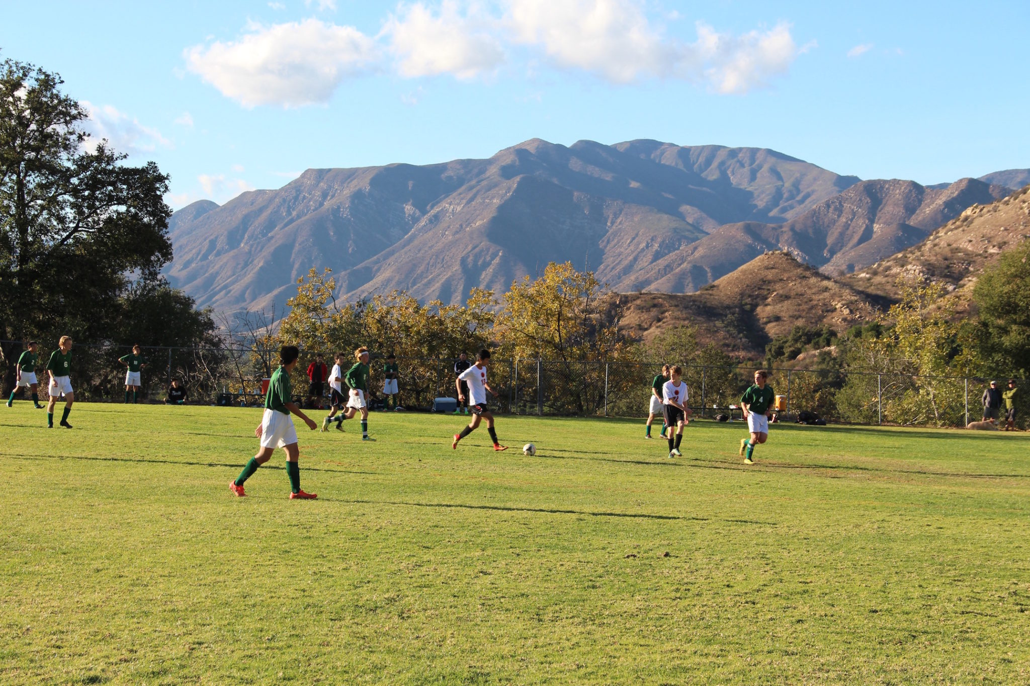 Ojai Valley School Owl Boarding School Guide